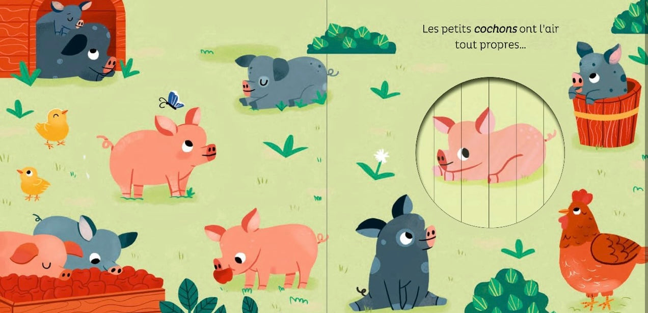 Livre À La Ferme