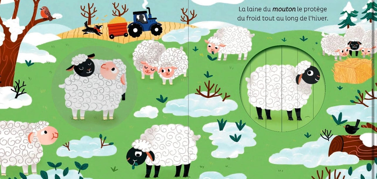 Livre À La Ferme