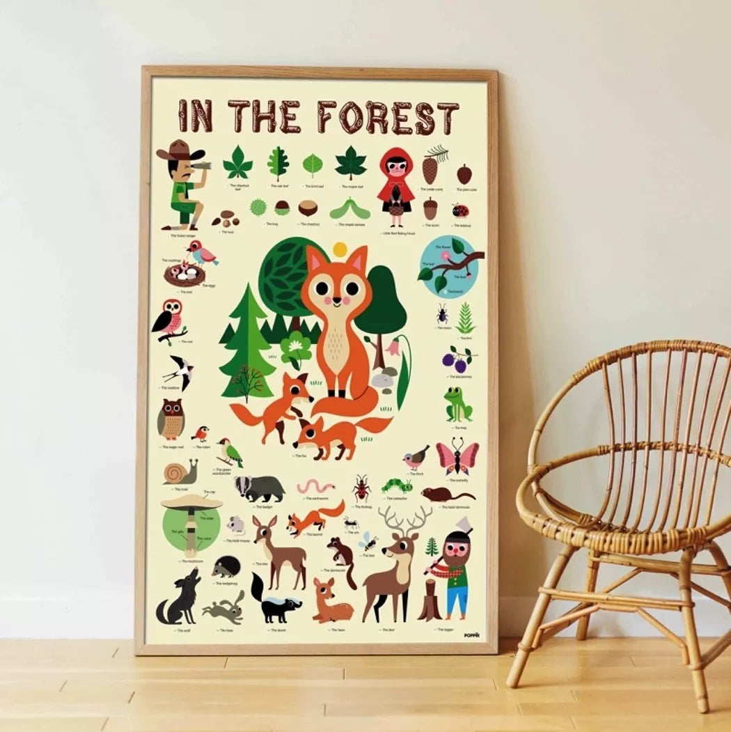 Poster pédagogique La Forêt